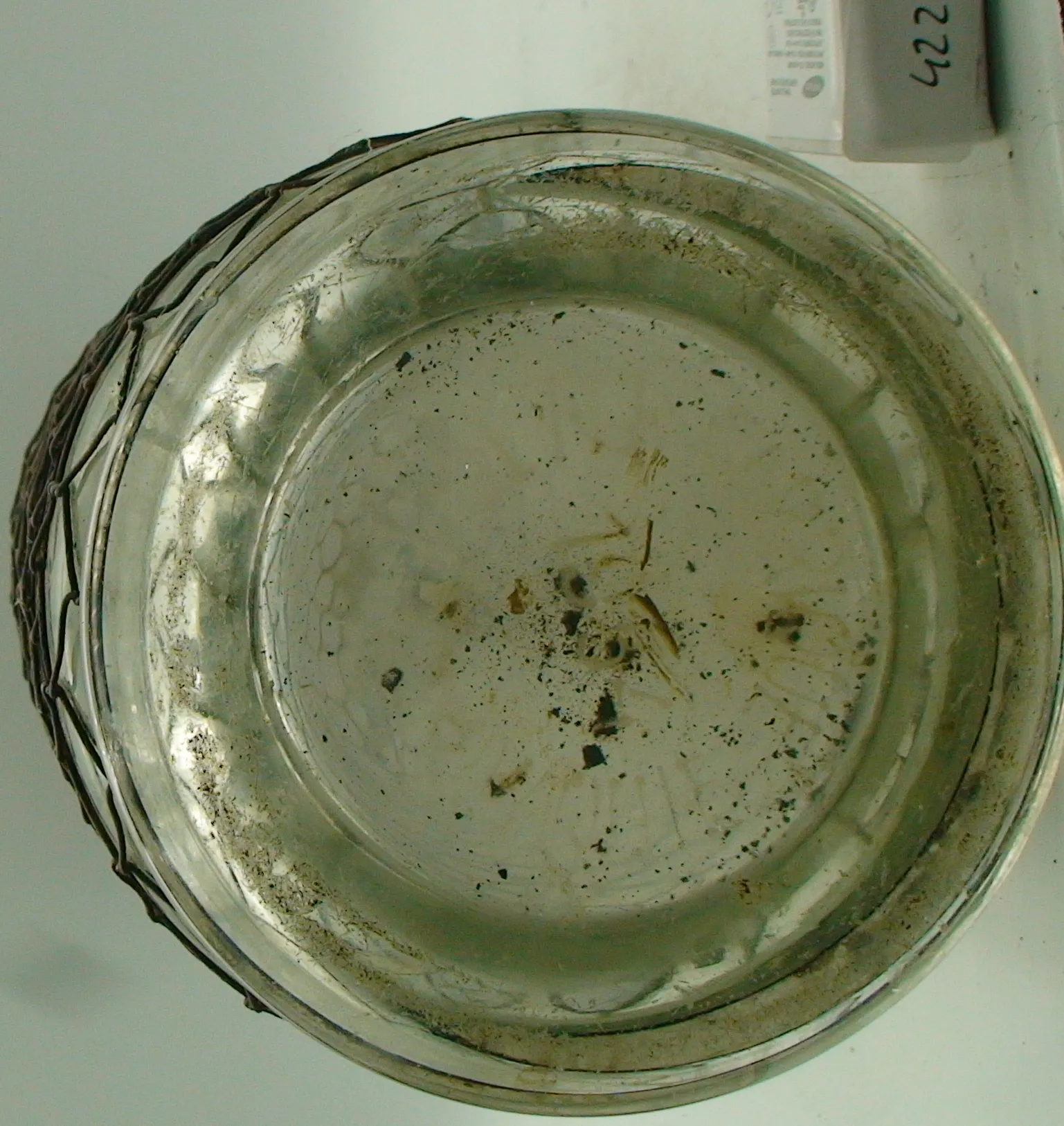 H422BDSC05347