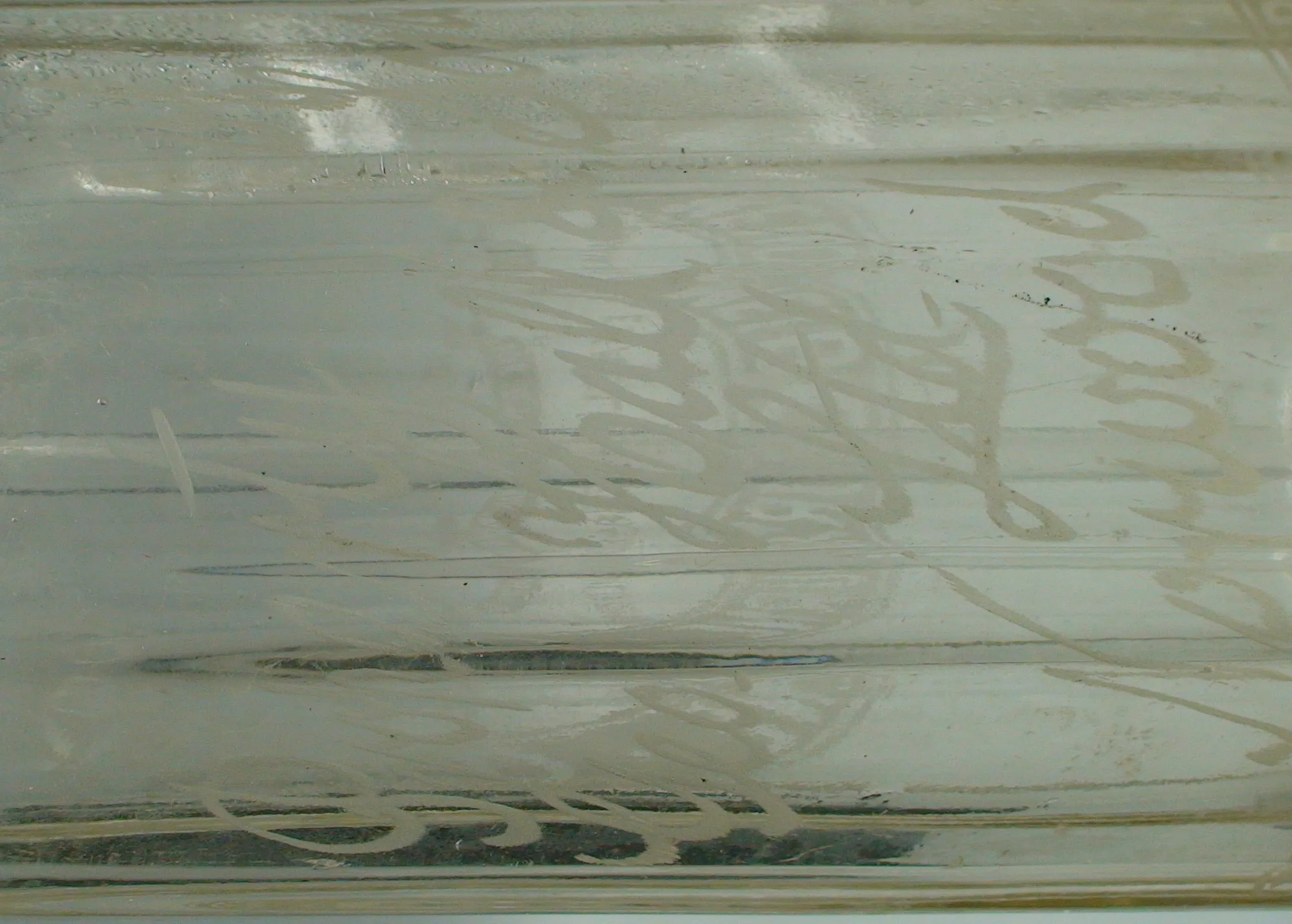 T1087DSC01006