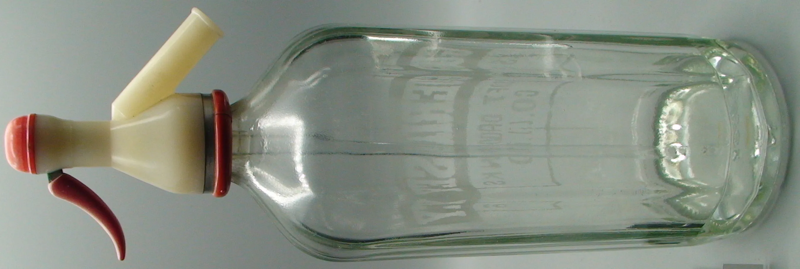 T1183DSC02234